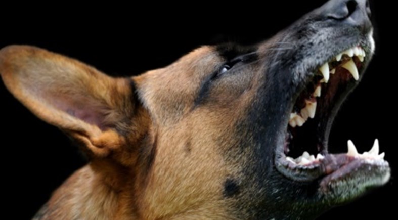 OVERSTEPPING THE MARK