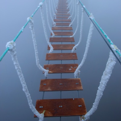 Six initial steps to take in crisis management