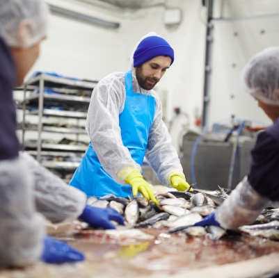 THE PERFECT RECIPE FOR A PRODUCT RECALL